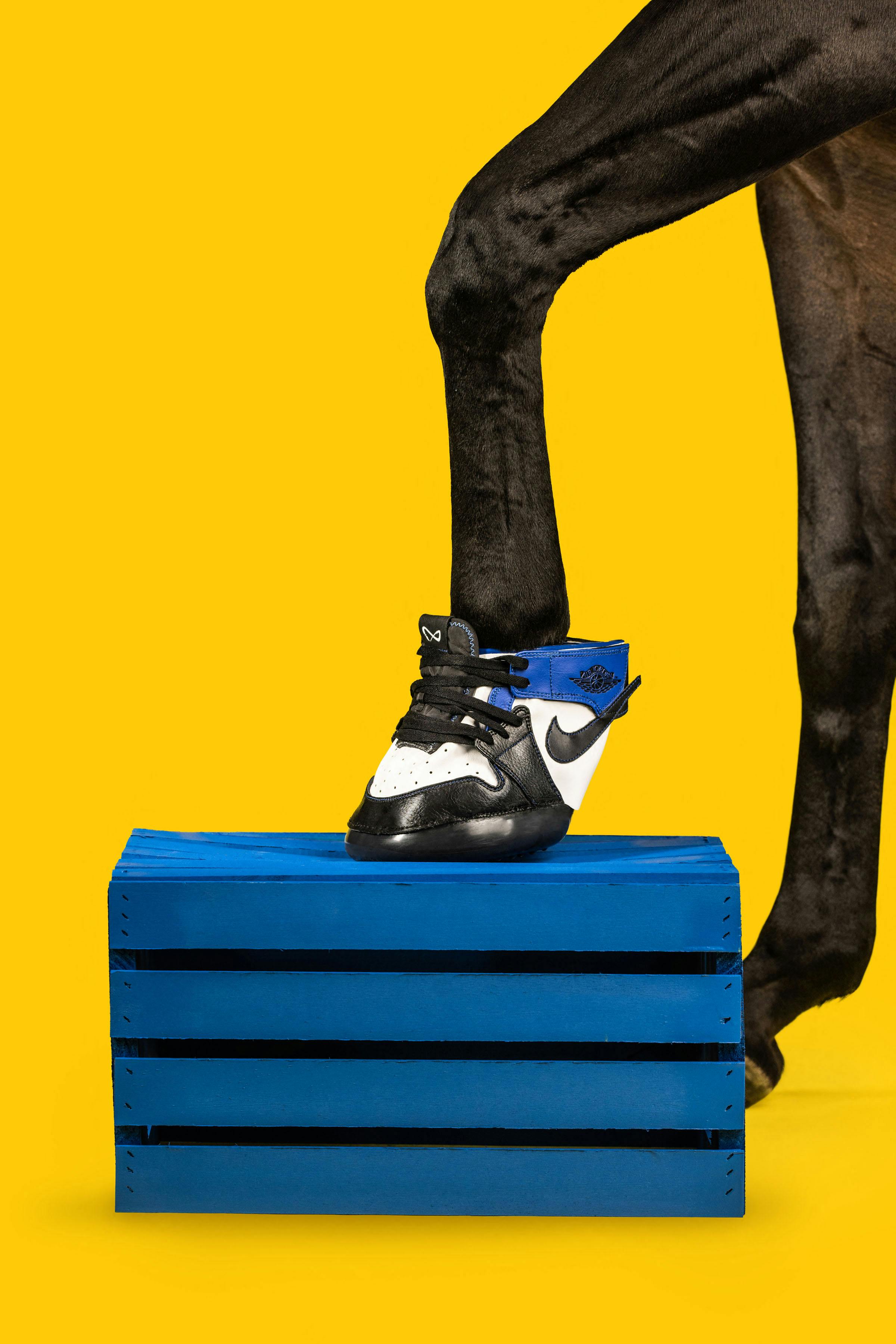 Nike, Adidas eller New Balance. En sneakerentusiast fra Kentucky laver helt specielt fodtøj til heste i alle aldre til den nette sum af 9000 kroner. nbsp;