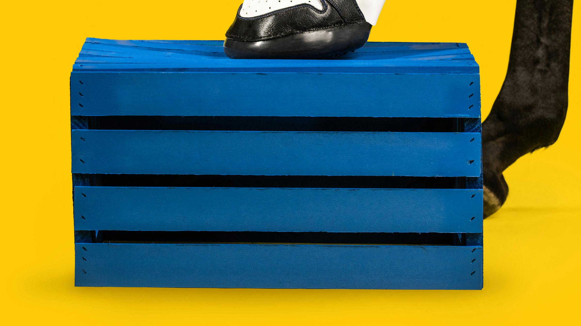 Nike, Adidas eller New Balance. En sneakerentusiast fra Kentucky laver helt specielt fodtøj til heste i alle aldre til den nette sum af 9000 kroner. nbsp;