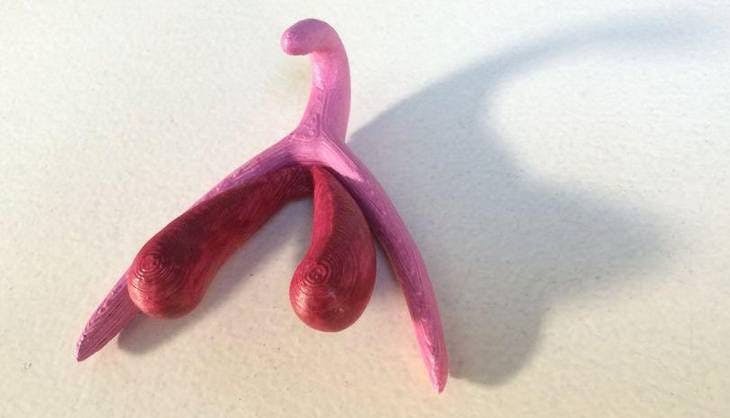 Sådan ser en 3D-printet klitoris ud. Øverst er glans.