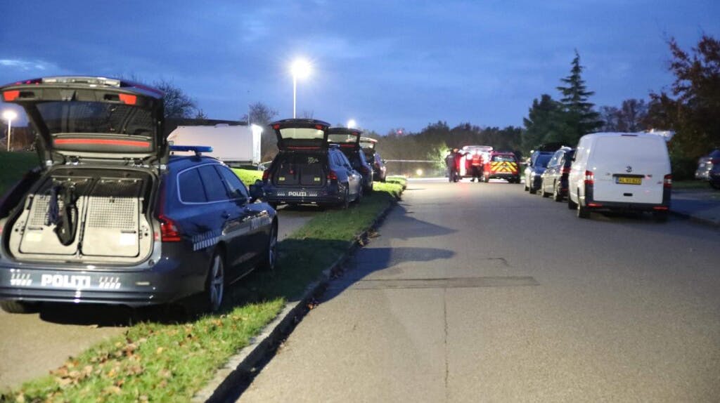 En gravid kvinde på 37 år er død, efter at hun torsdag aften blev angrebet med kniv, da hun fik fri fra job i Holbæk. Et vidne forsøgte at gribe ind, men kunne ikke forhindre drabet.