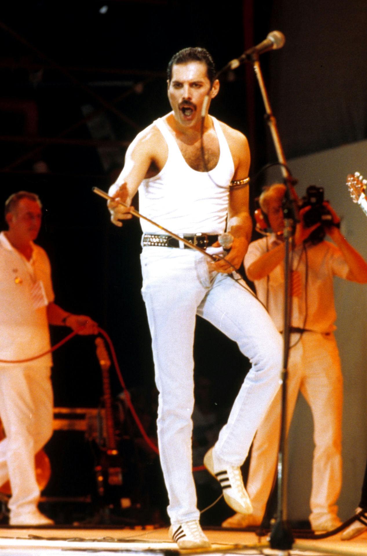 Queen-forsangeren fik posthumt opkaldt en asteroide efter sig den 5. september 2016 i anledning af, at han kunne være fyldt 70: “Asteroid 17471 Freddiemercury” suser nu rundt i Mælkevejen.
