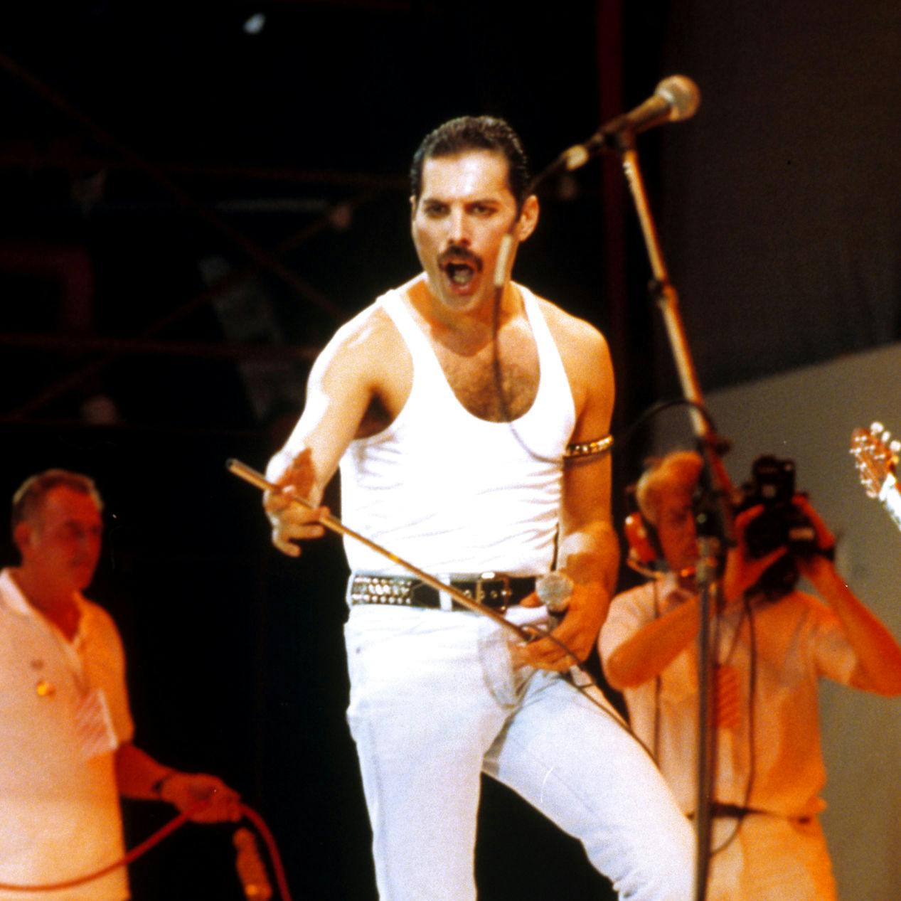 Queen-forsangeren fik posthumt opkaldt en asteroide efter sig den 5. september 2016 i anledning af, at han kunne være fyldt 70: “Asteroid 17471 Freddiemercury” suser nu rundt i Mælkevejen.