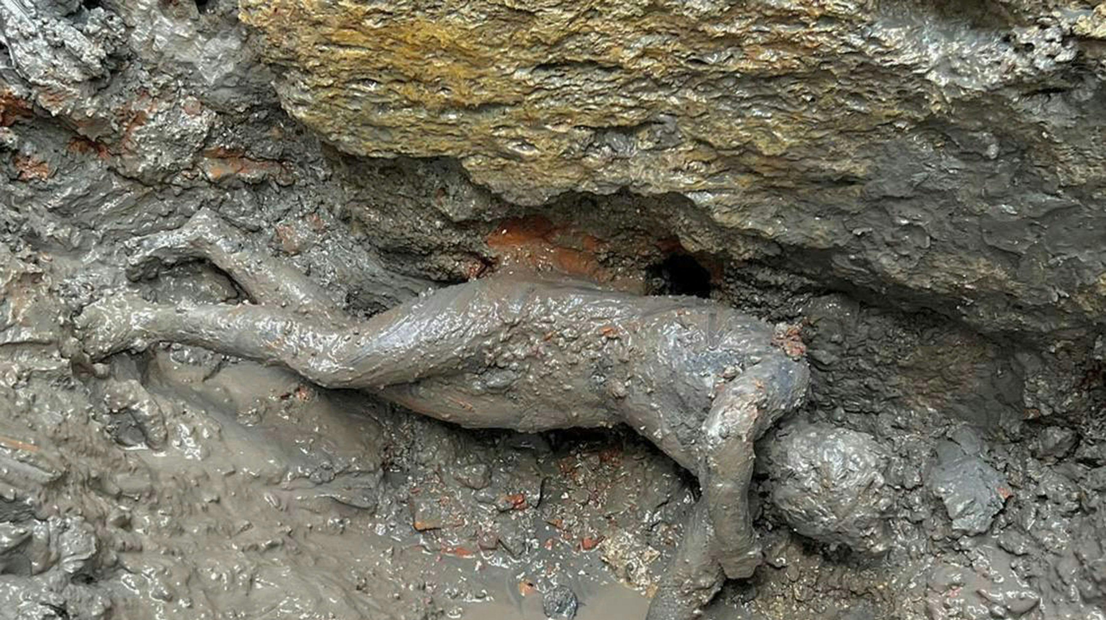Over 20 af disse bronzefigurer blev fundet ved udgravningen omkring badeanstalten i Toscana. 