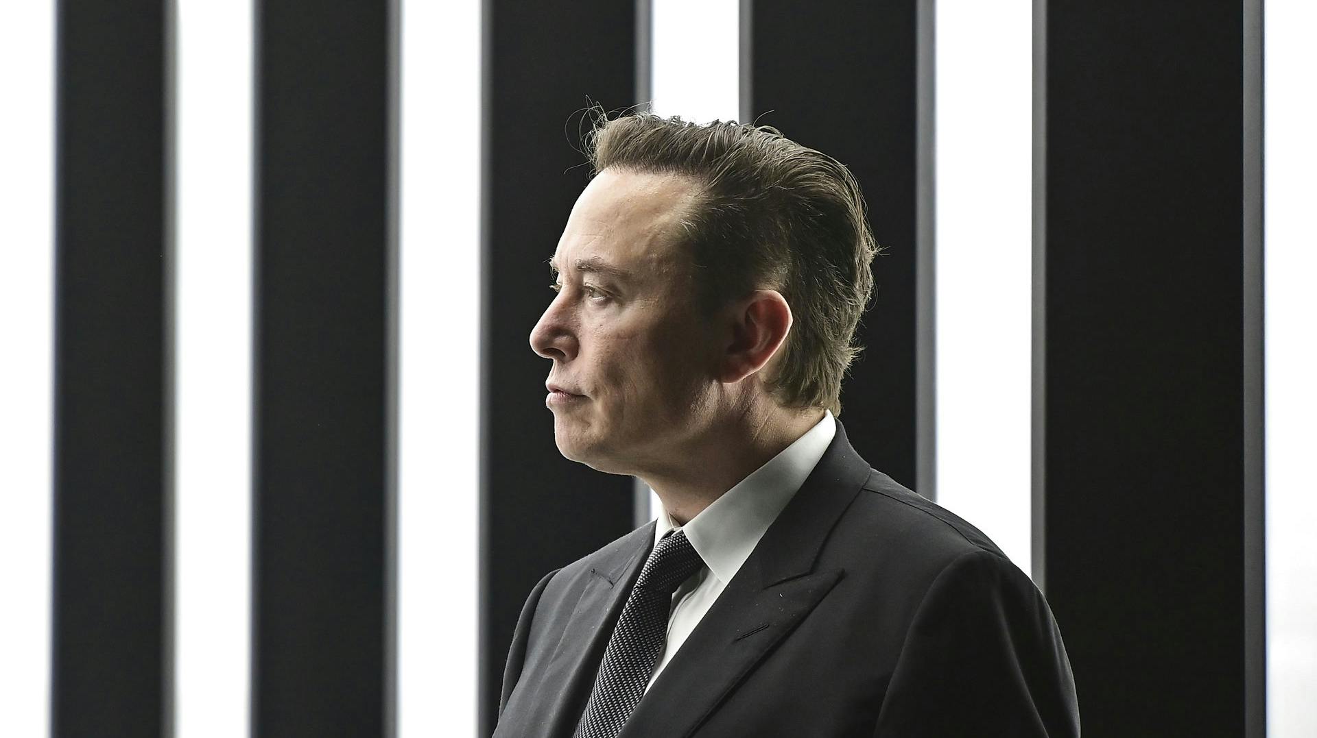 Elon Musk, der for nyligt blev CEO af Twitter, ejer også selskaber som Tesla og SpaceX.