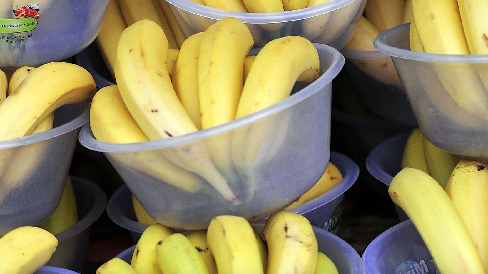 Den 11-årige Isabella fandt en edderkop i sin banan. (Arkivfoto)