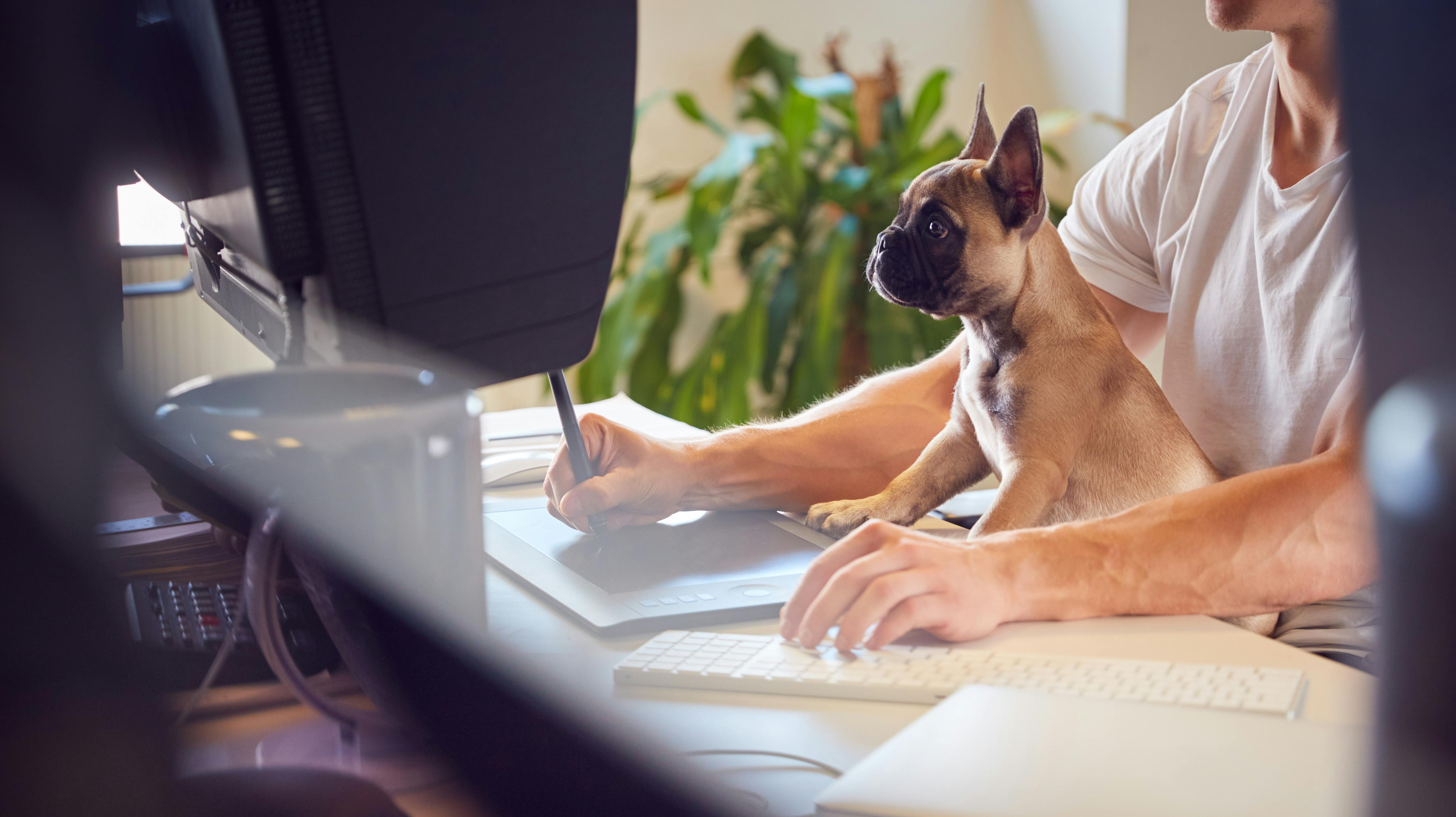Når hunden er med på job, så bliver vi gladere og mere afslappede.