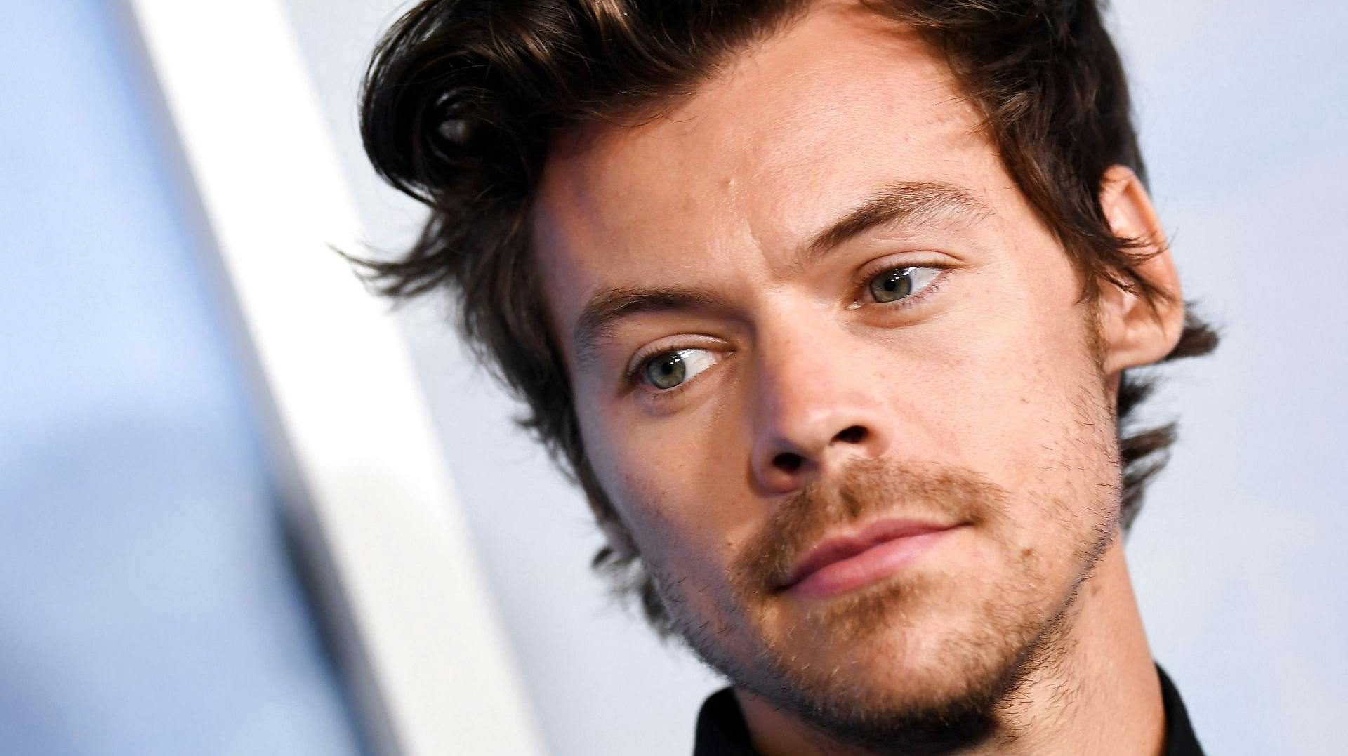 Harry Styles og Olivia Wilde holder eftersigende en pause fra hinanden.