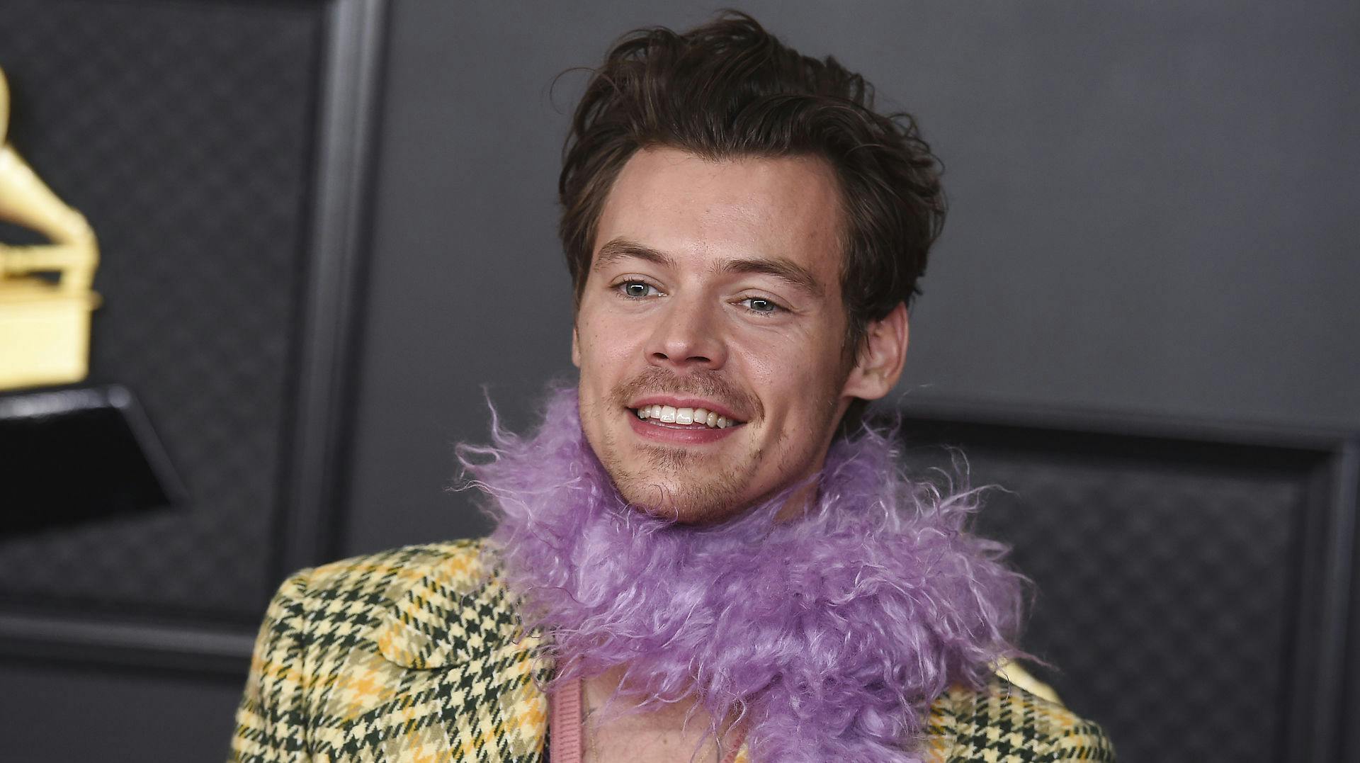 Harry Styles danner ikke længerepar med Olivia Wilde.