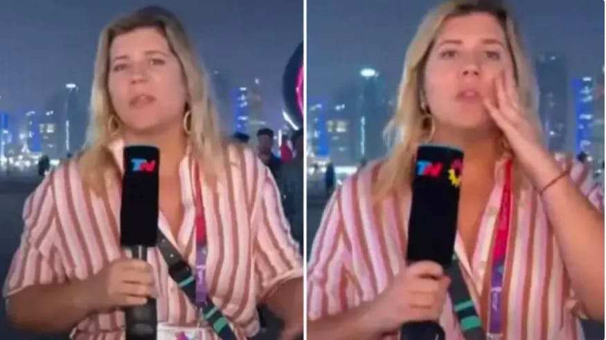 Den argentinske journalist Dominique Metzger blev udsat for røveri, imens hun var live igennem på TV. 