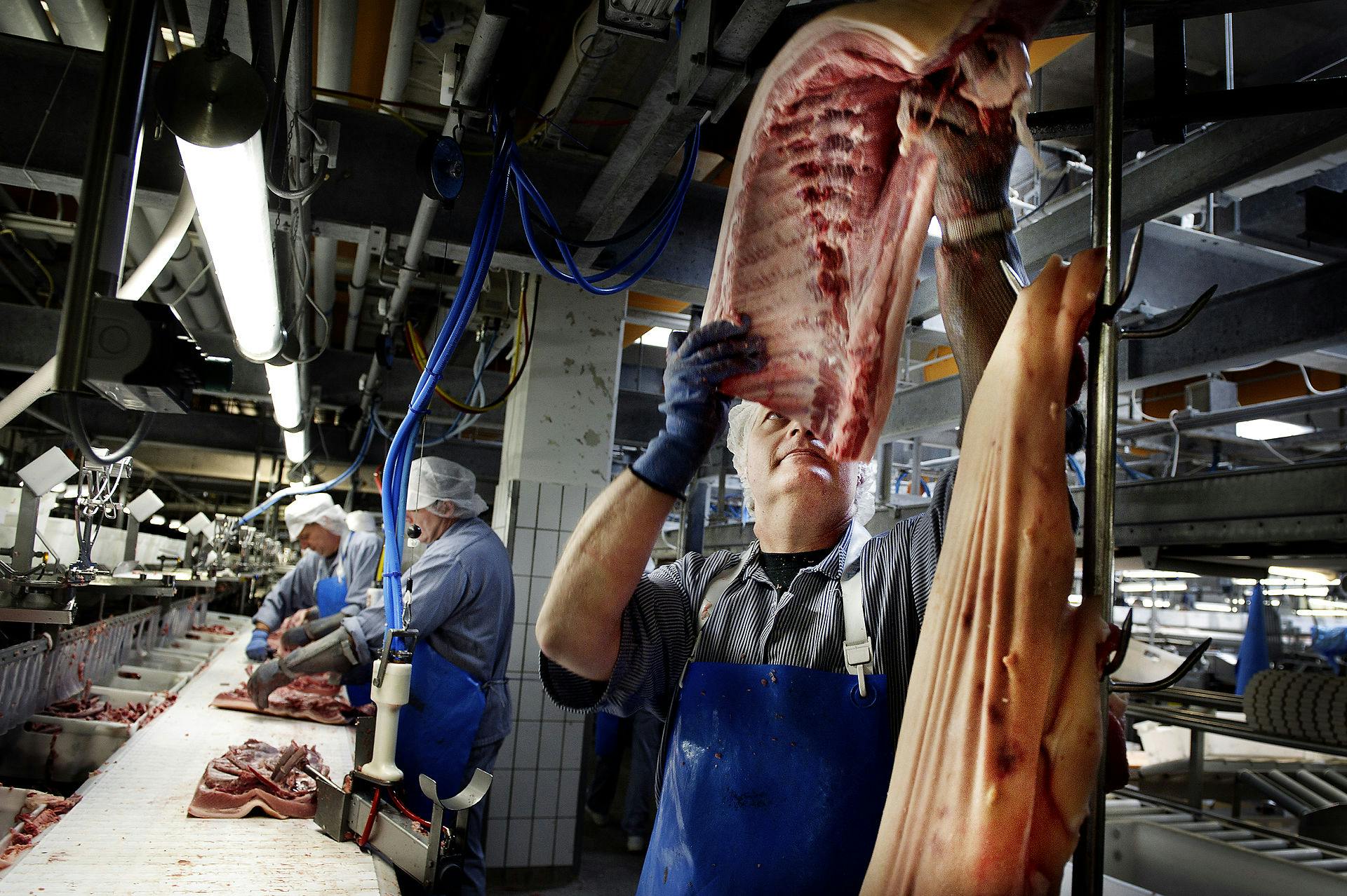 Dansk bacon betyder ikke dansk arbejdskraft hele vejen fra stalden til bordet. I hvert fald ikke hvis kunderne er britiske.