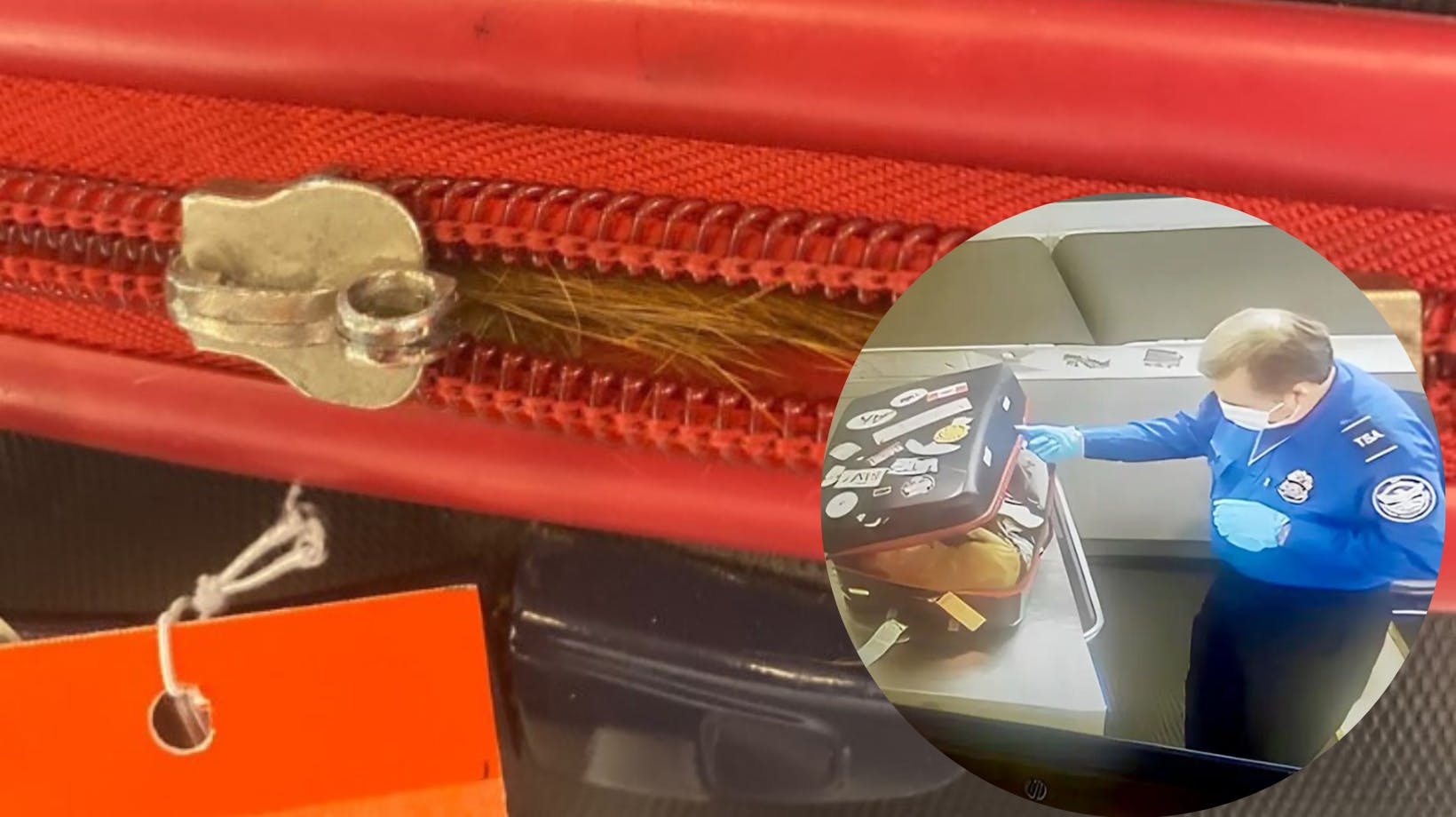 En sikkerhedskontrollør fik sig noget af et chok, da han åbnede en pelset kuffert. nbsp;