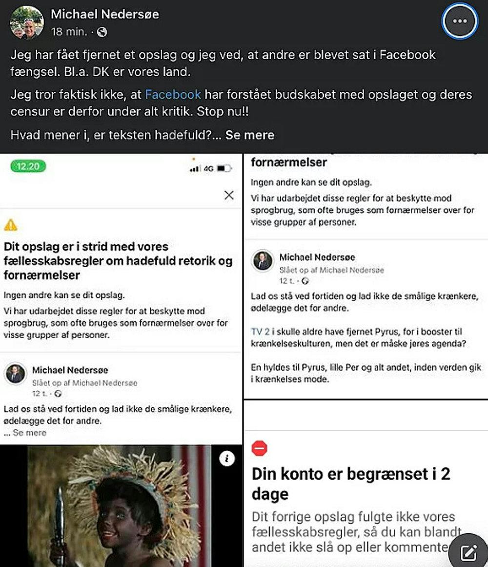 Michael Nedersøes (DF) opslag på Facebook om Pyrus er blevet fjernet, da det strider imod deres regler. Det forstår politikeren dog intet af.