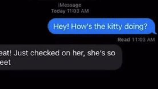 Det var denne sms, som fældede katte-barnepigen. For noget stemte ikke heeeelt....