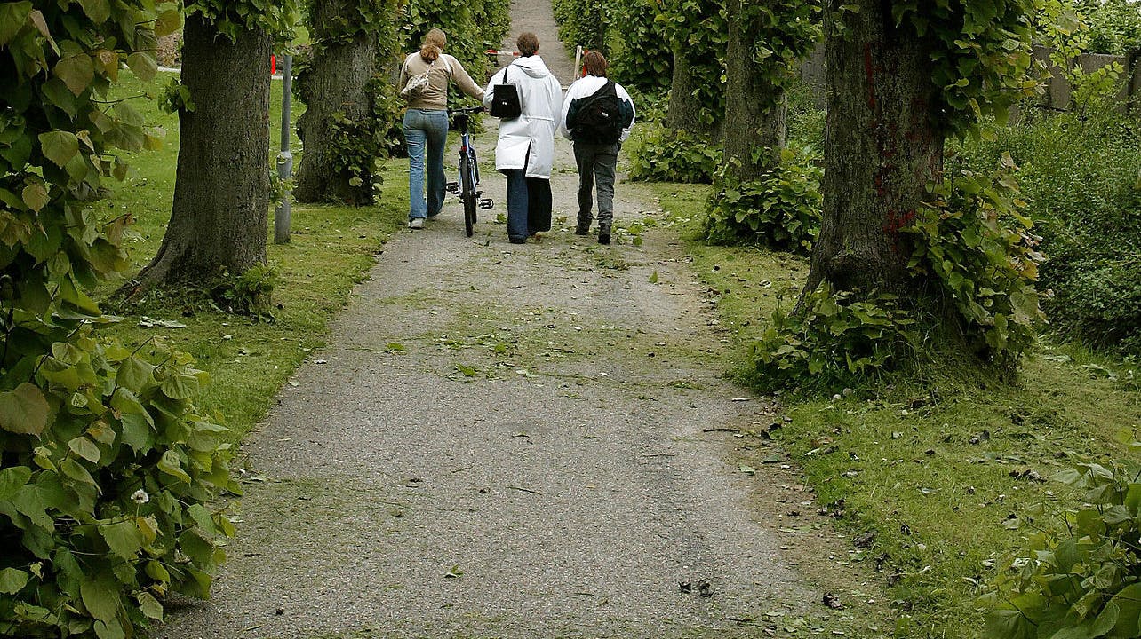 De to piger og den mistænkte gerningsmand har befundet sig ved Christiansgave Park ved træ-alléen i samme tidsrum. OBS: Arkiv foto.