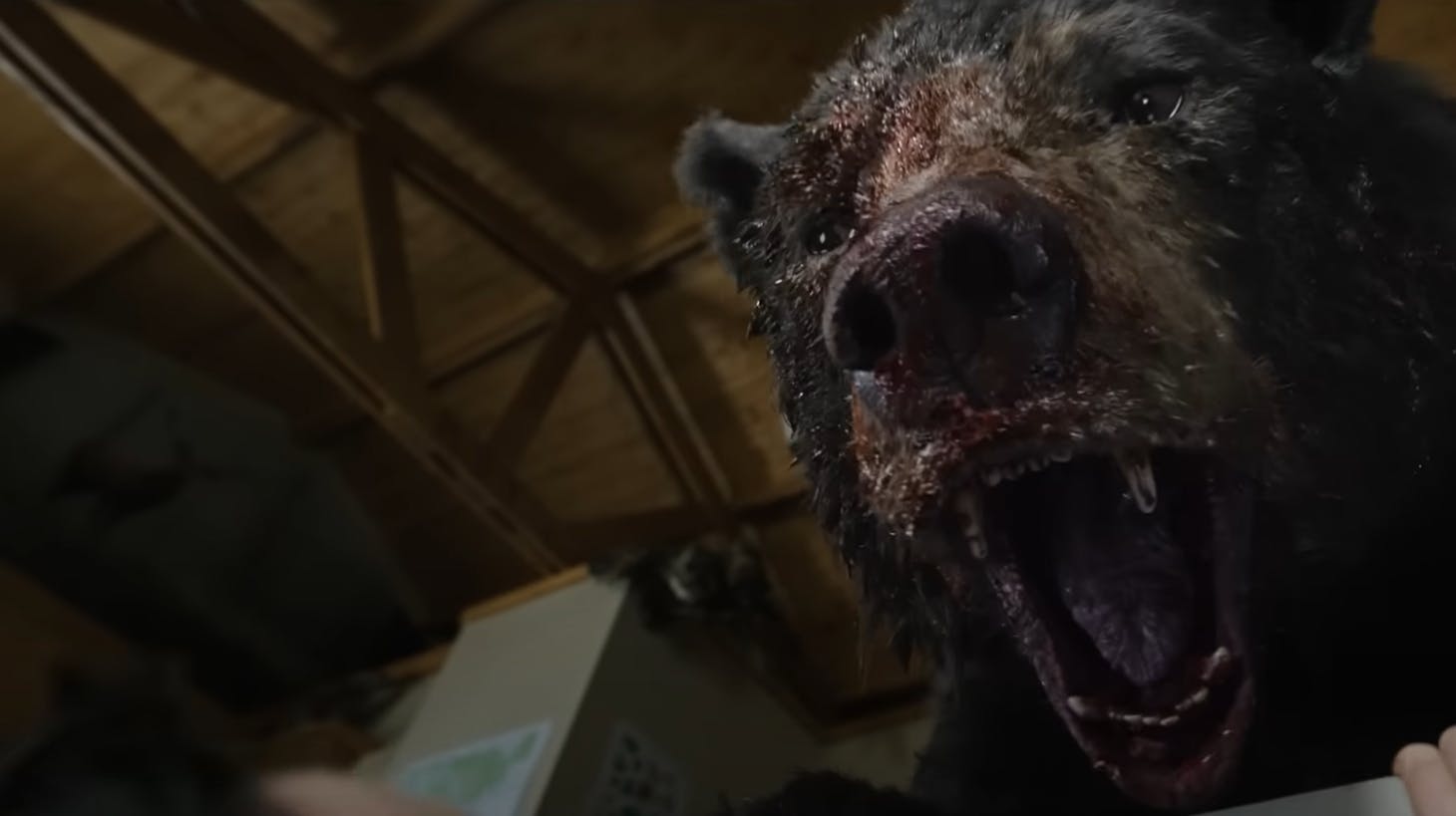 "Cocaine Bear" får premiere i begyndelsen af næste år.
