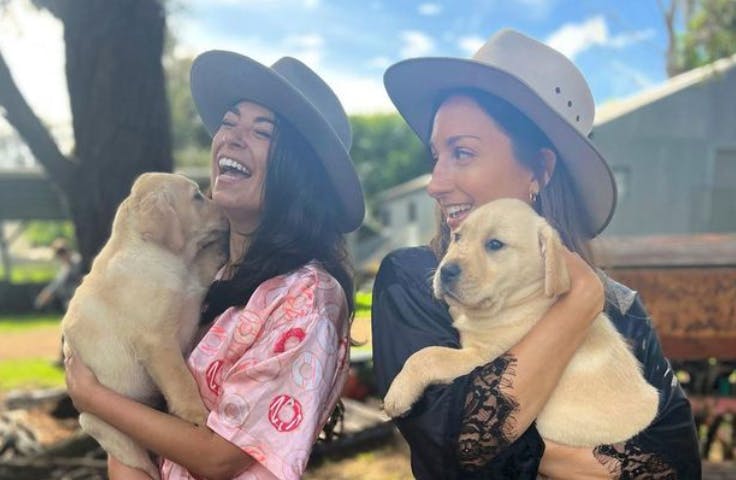 Australske veterinærstuderende smider tøjet i en god sags tjeneste.