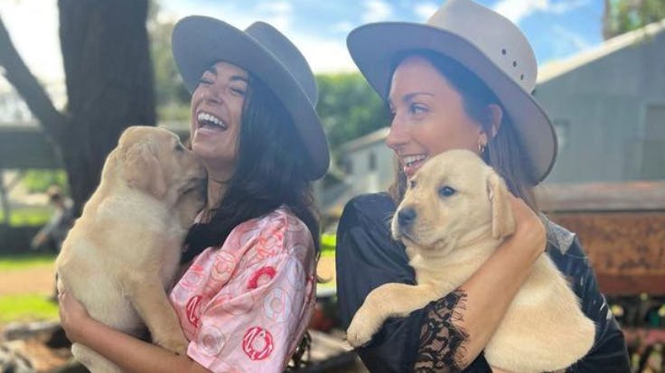 Australske veterinærstuderende smider tøjet i en god sags tjeneste.