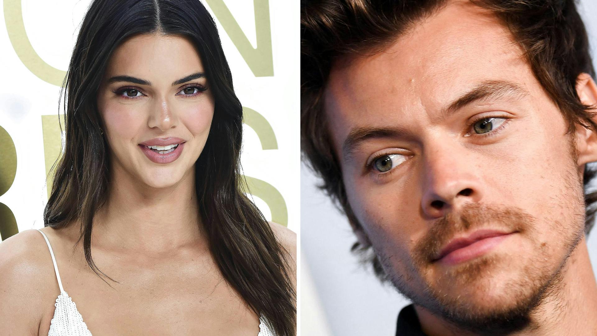 Har Harry Styles og Kendall Jenner fundet hinanden igen?