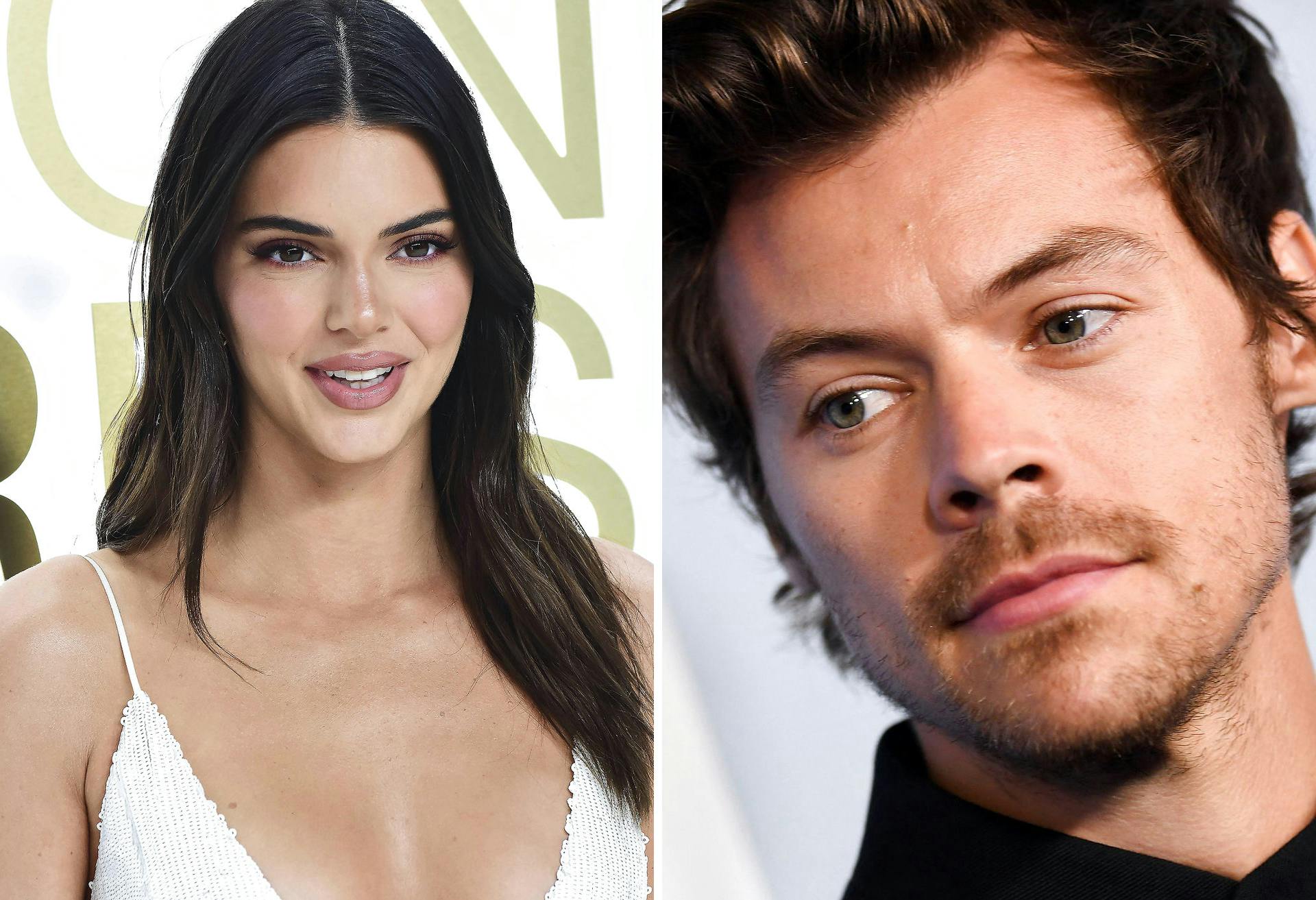 Har Harry Styles og Kendall Jenner fundet hinanden igen?