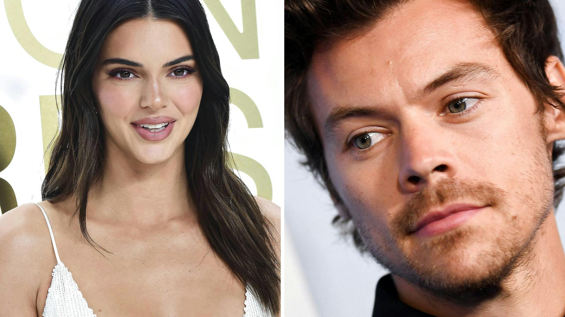 Har Harry Styles og Kendall Jenner fundet hinanden igen?