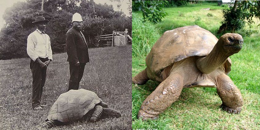 Her er Jonathan fotograferet i 1900 og i 2016.