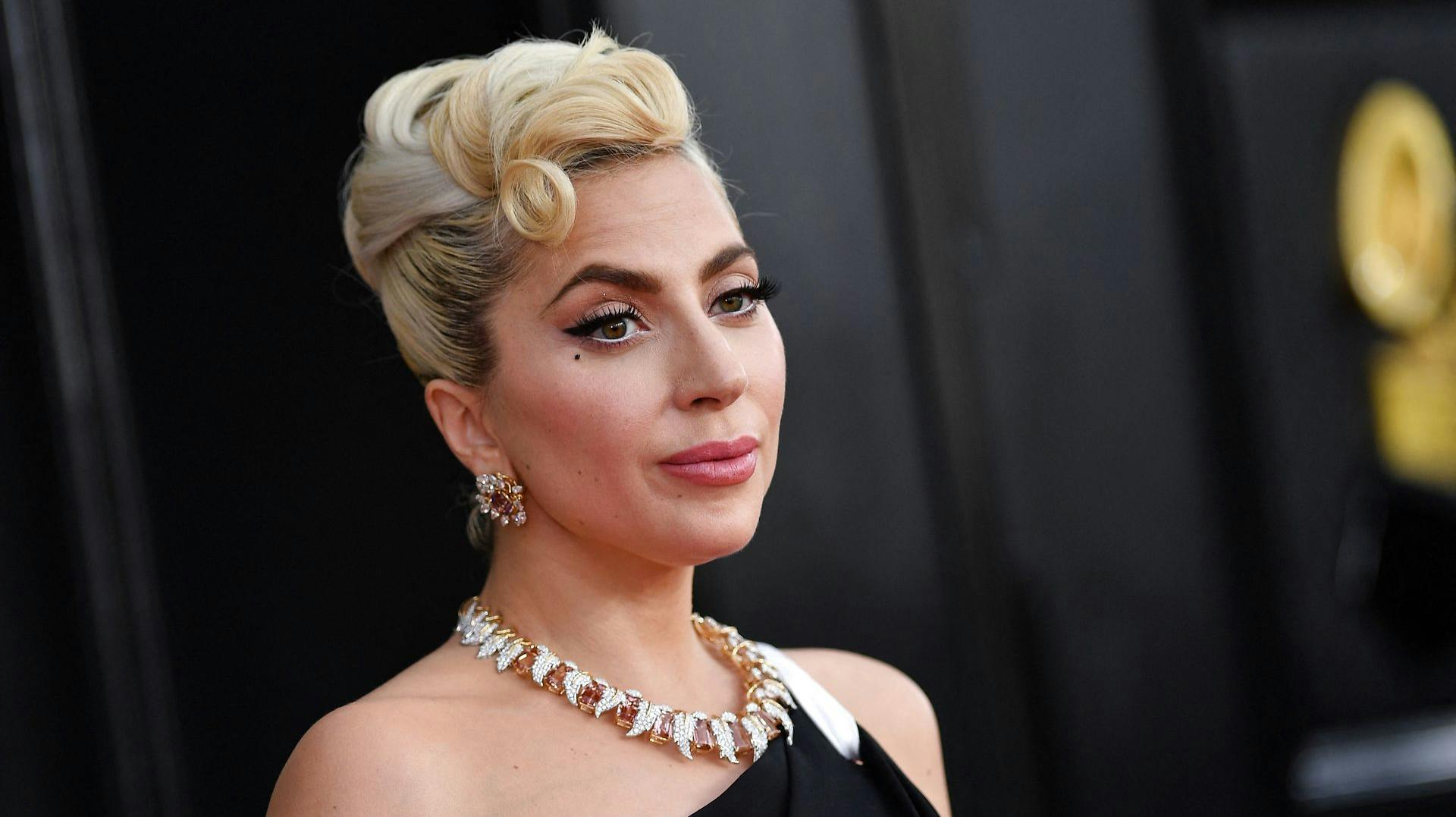 Lady Gagas hundelufter blev skudt under et voldeligt røveri af sangerindens hunde sidste år.