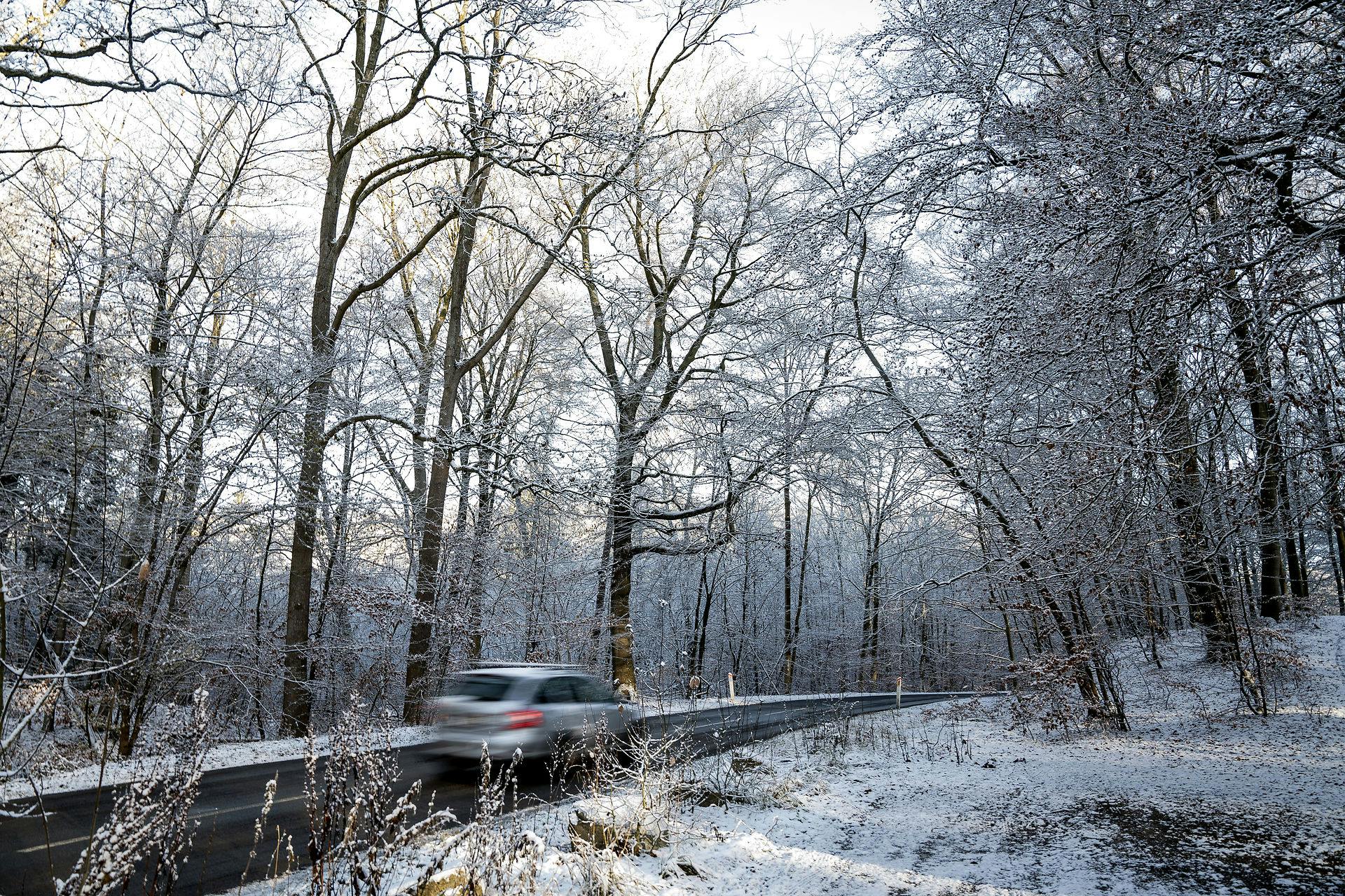 Sne og frost i Hareskoven torsdag den 8. december 2022.&nbsp;
