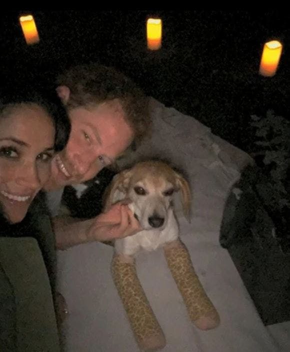 Prins Harry gik på knæ og friede til Meghan Markle i parrets baghave.