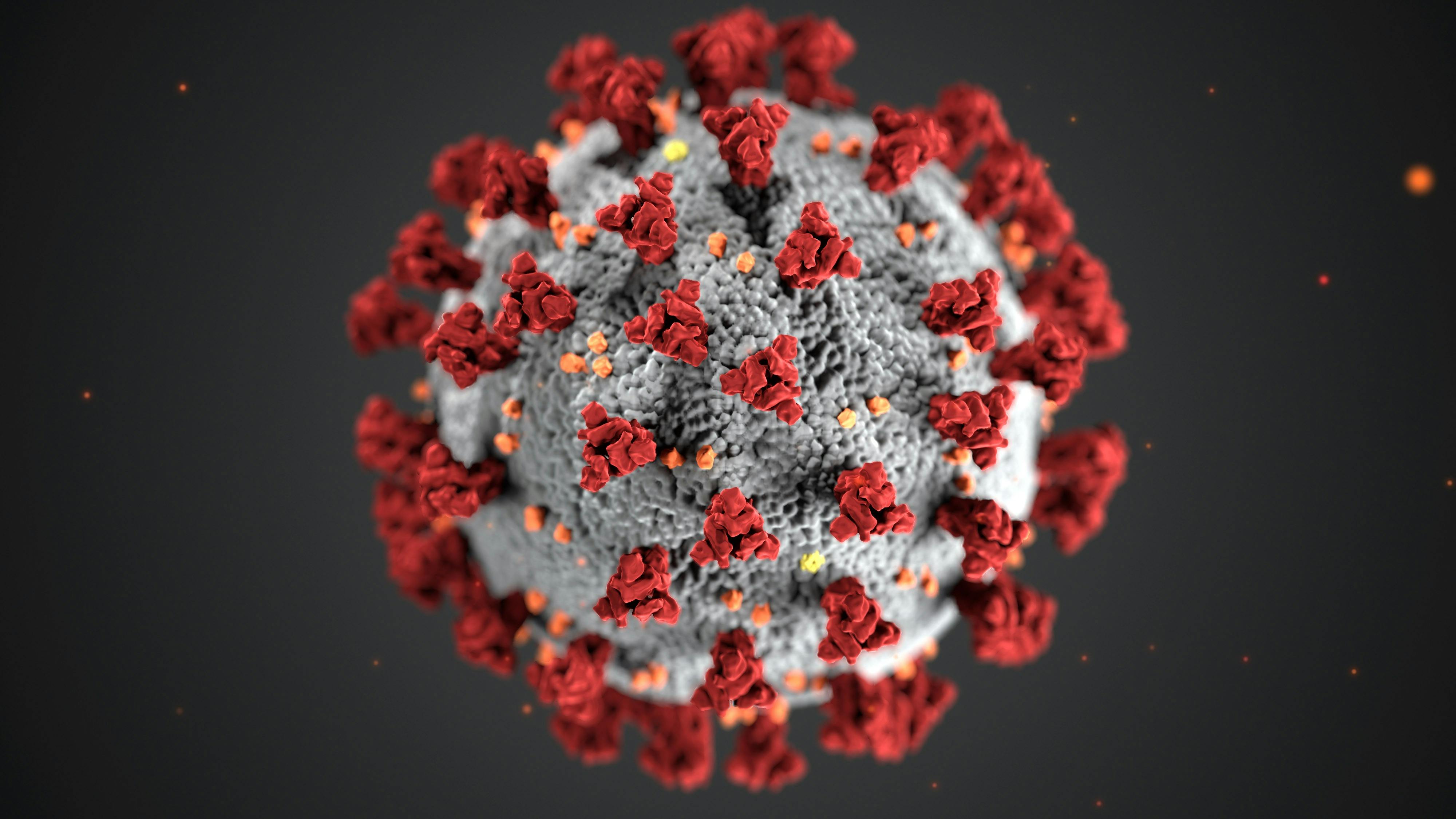 Sundhedsstyrelsen sidestiller coronavirus med andre sygdomme og anbefaler ikke længere, at man isolerer sig ved positiv test. Det fremgår af pressemeddelelse.