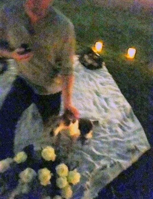 Prins Harry og Meghan Markle har delt et foto af det øjeblik, de blev forlovet, og der tegner sig nu et noget andet billede af forlovelseshistorien.