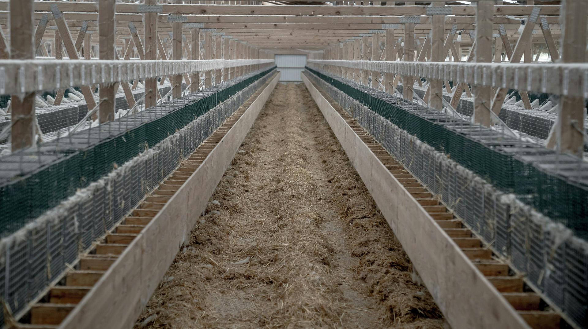 Selv om minkgårdene har stået tomme i over to år, er der ikke en eneste erstatningssag, der er færdig endnu.