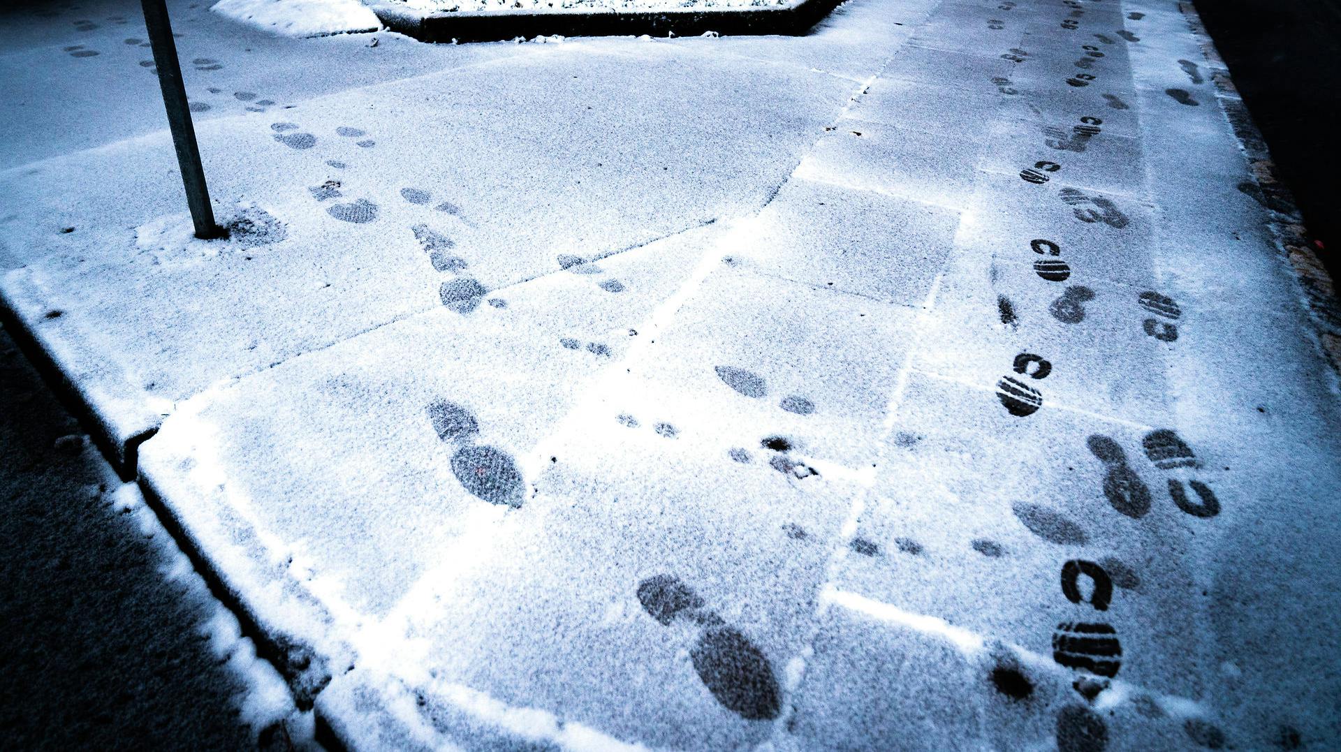 To tyve blev fældet, fordi sporene i sneen ledte politiet lige til dem. 