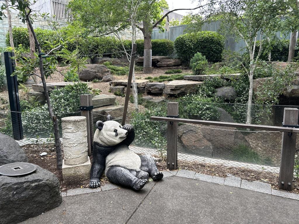 Det var her ved udendørsarealet hos pandaerne, den unge dreng mandag tabte sin telefon, og efterfølgende sprang over indhegningen&nbsp;
