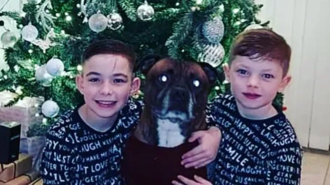 En britisk mor har fortalt sine drenge, at "julen er aflyst", fordi familien har fået en gigantisk dyrlægeregning. 