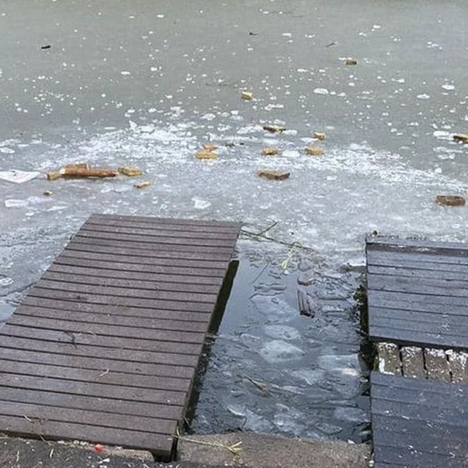 Det var her, at en hund torsdag gik gennem isen. Hundens liv stod ikke til at redde. 