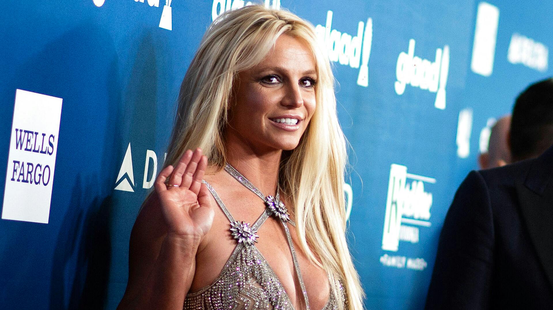 Den amerikanske popstjerne Britney Spears har længe været i krig med det meste af sin familie. 