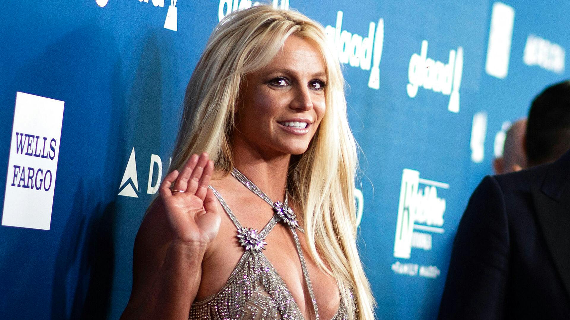 Den amerikanske popstjerne Britney Spears har længe været i krig med det meste af sin familie.&nbsp;