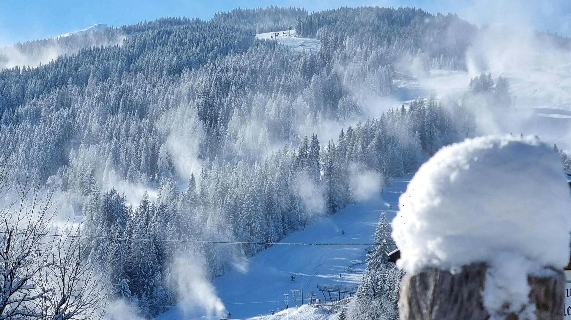 Helikoptere og hunde hjælper redningsmandskab i Østrig med at lede efter omkring ti skiløbere, der frygtes at være begravet i snemasserne. (Arkivfoto)