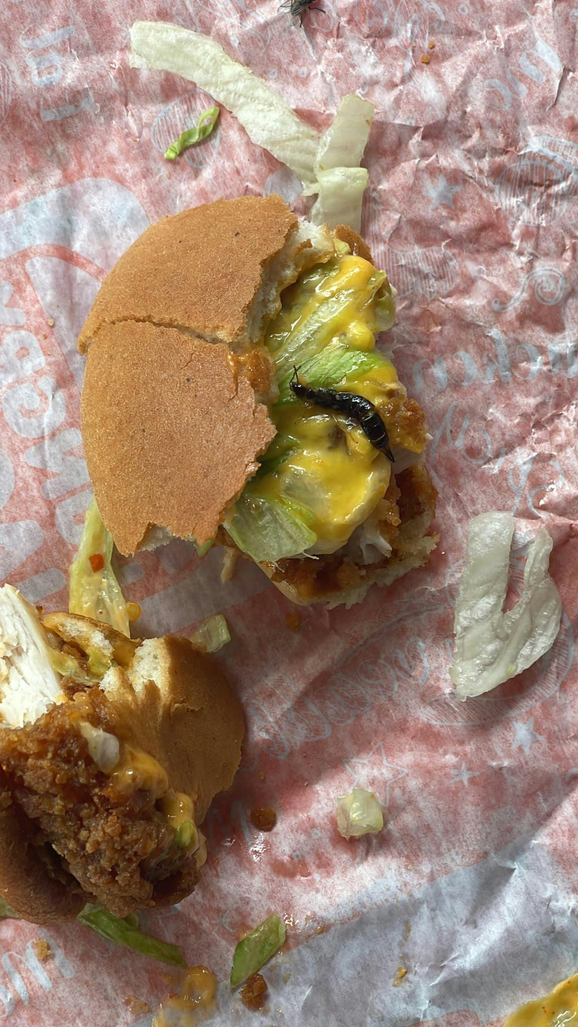 Ikke ligefrem det syn, man drømmer om at blive mødt af, når man åbner sin burger. 