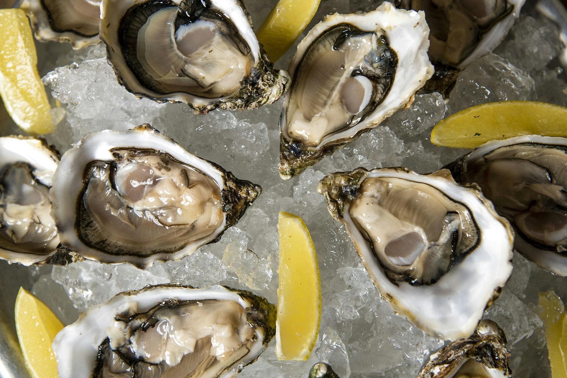 Venø Seafood, som står for det største salg af østers i Danmark, har tilbagekaldt et parti, efter at flere folk har oplevet kvalme og diarré.