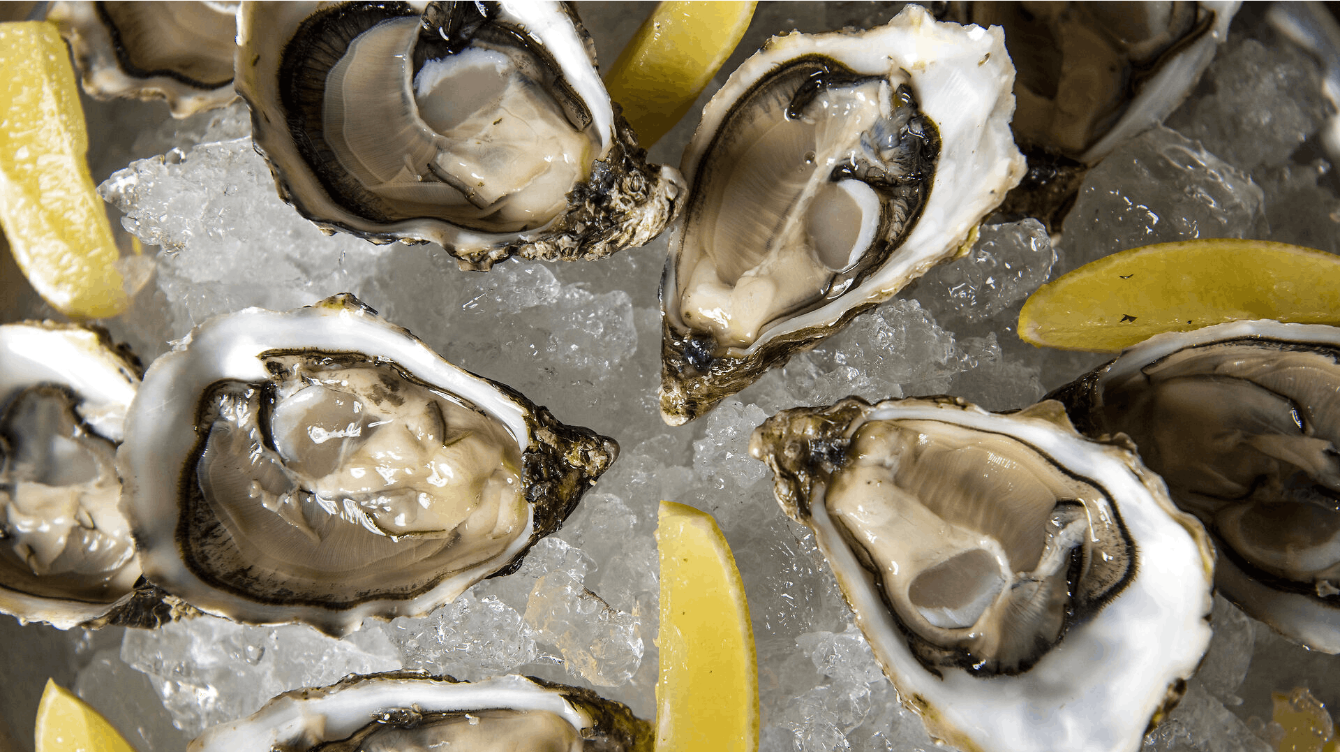 Venø Seafood, som står for det største salg af østers i Danmark, har tilbagekaldt et parti, efter at flere folk har oplevet kvalme og diarré.