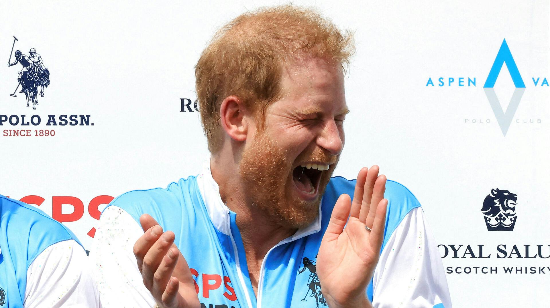 I sin nye og meget ærlige bog fortæller prins Harry nu i detaljer om sin … ja … penis!