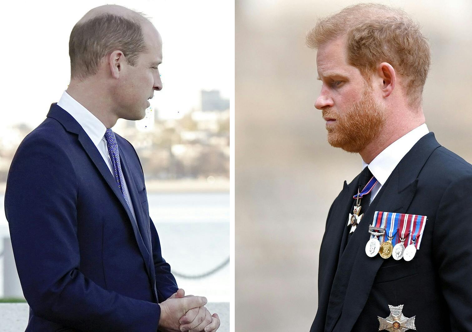 Prins Harry deler voldsomme anklager mod sin bror, prins William, i sin nye bog.
