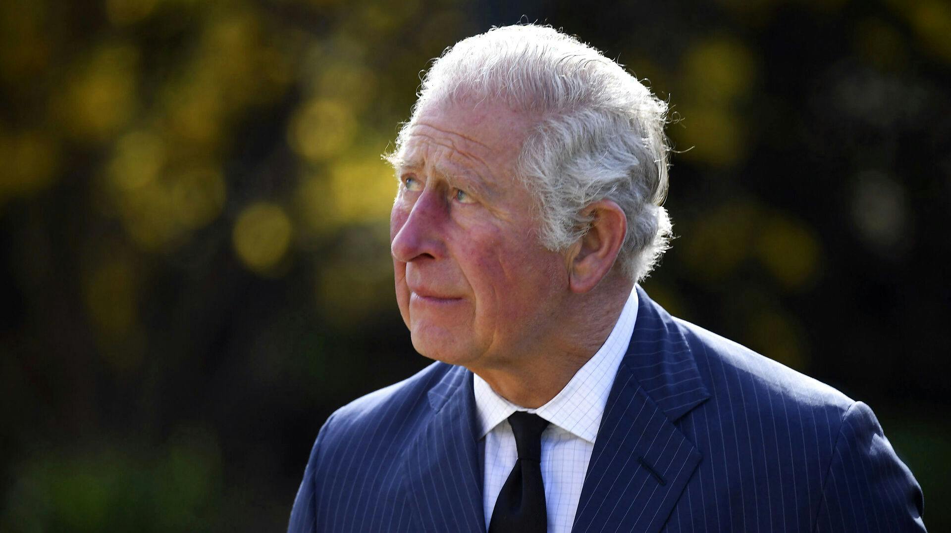 Prins Charles får drøje hug af sin søn i ny bog.