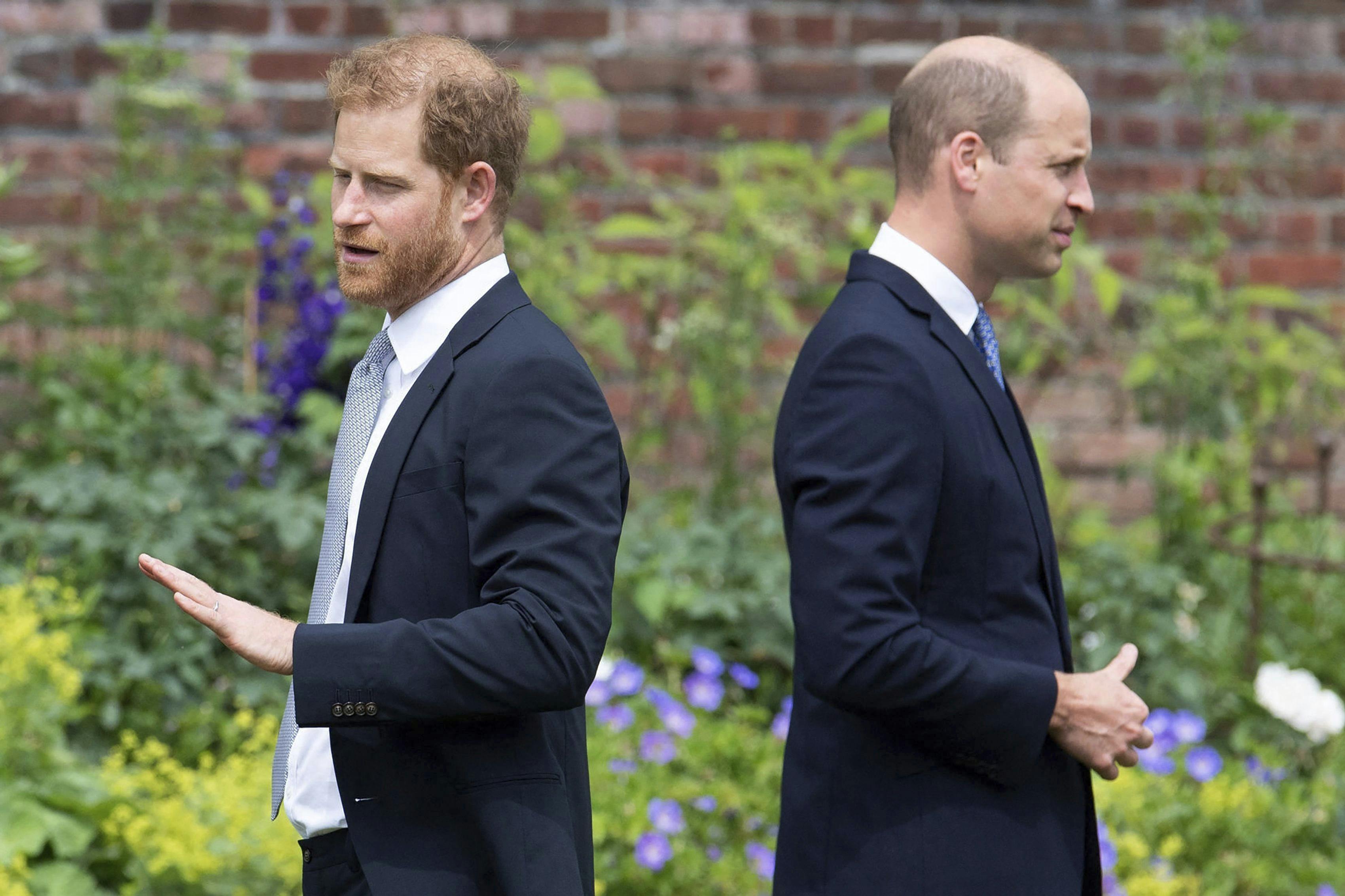 Prins Harry og prins William