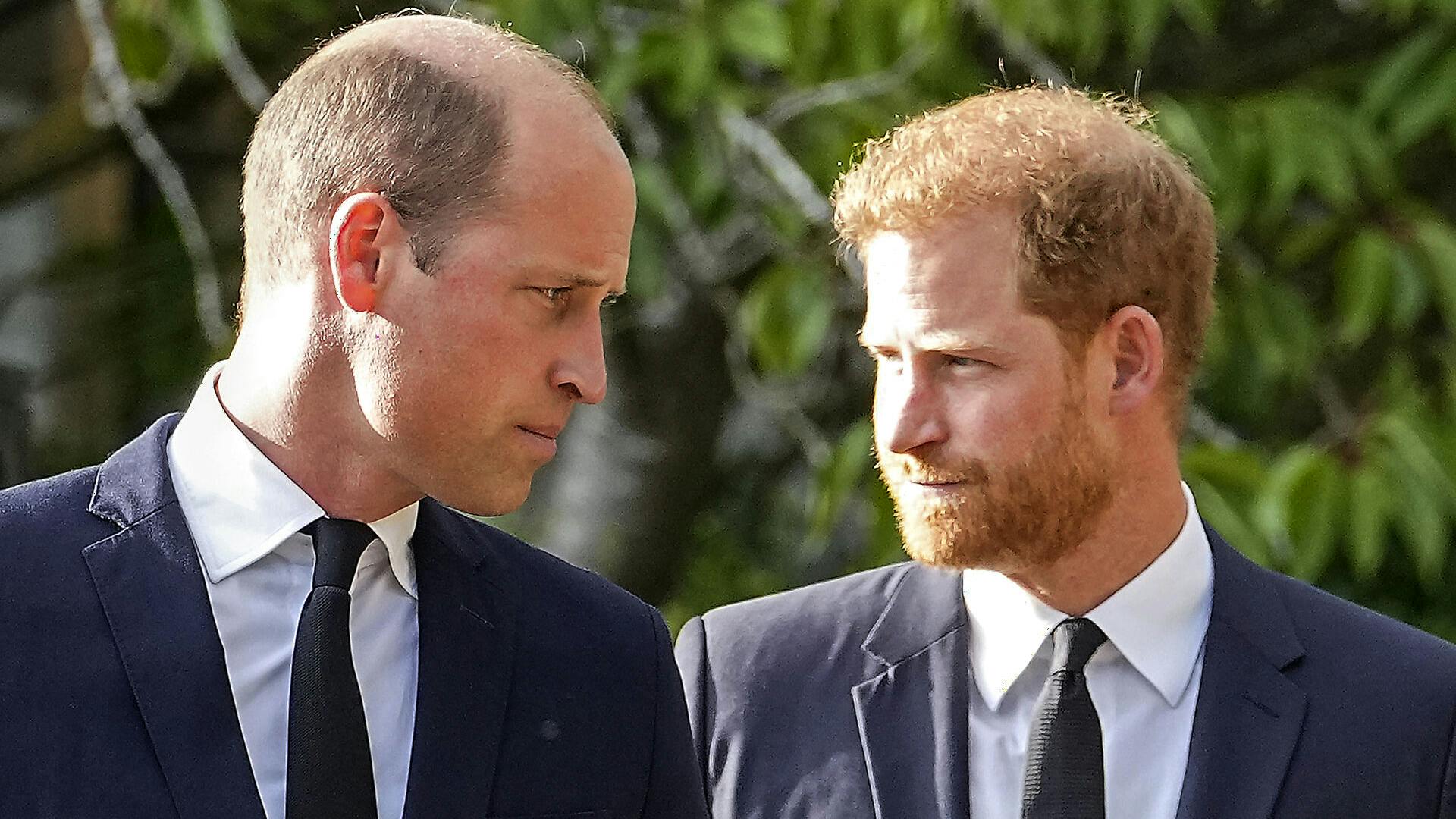 Prins Williams hårpragt er bestemt ikke, hvad den har været, og det har også lillebror Harry bemærket.
