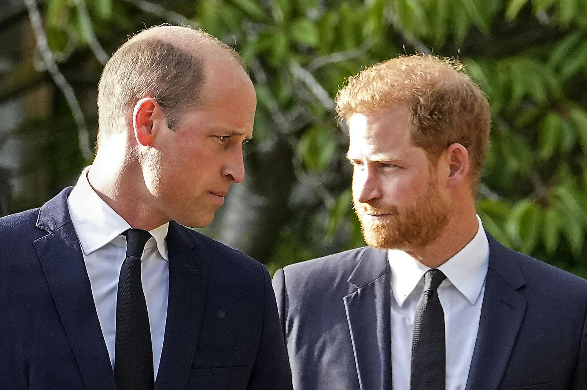 Prins Williams hårpragt er bestemt ikke, hvad den har været, og det har også lillebror Harry bemærket.