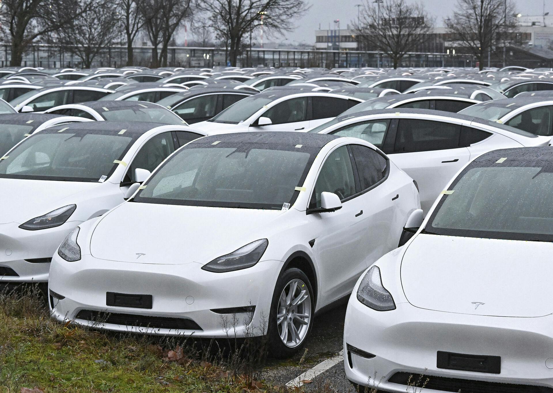 Tesla skærer i prisen