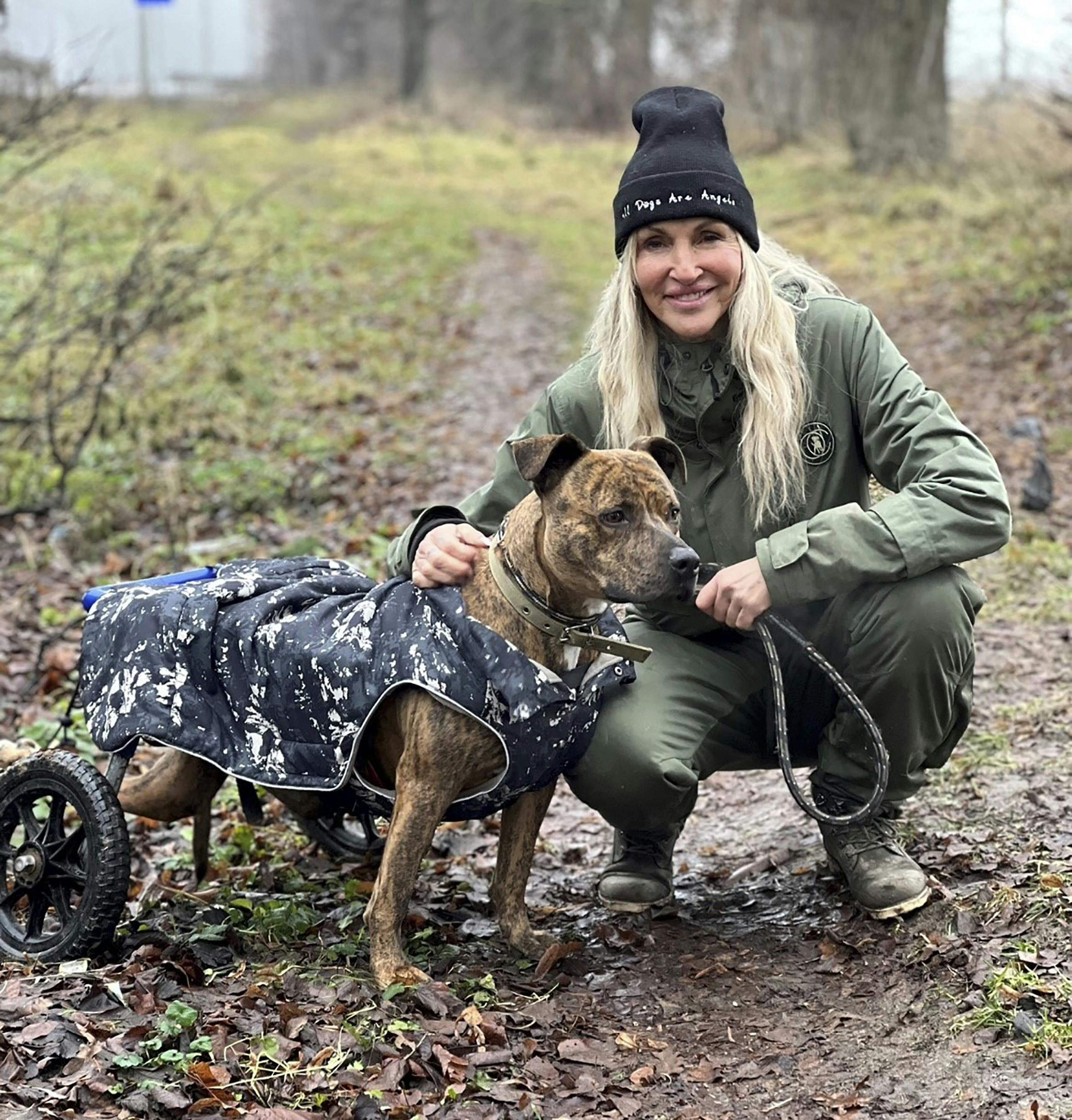 Linse plejer sårede dyr i Ukraine: Jeg tryg her | SE og HØR
