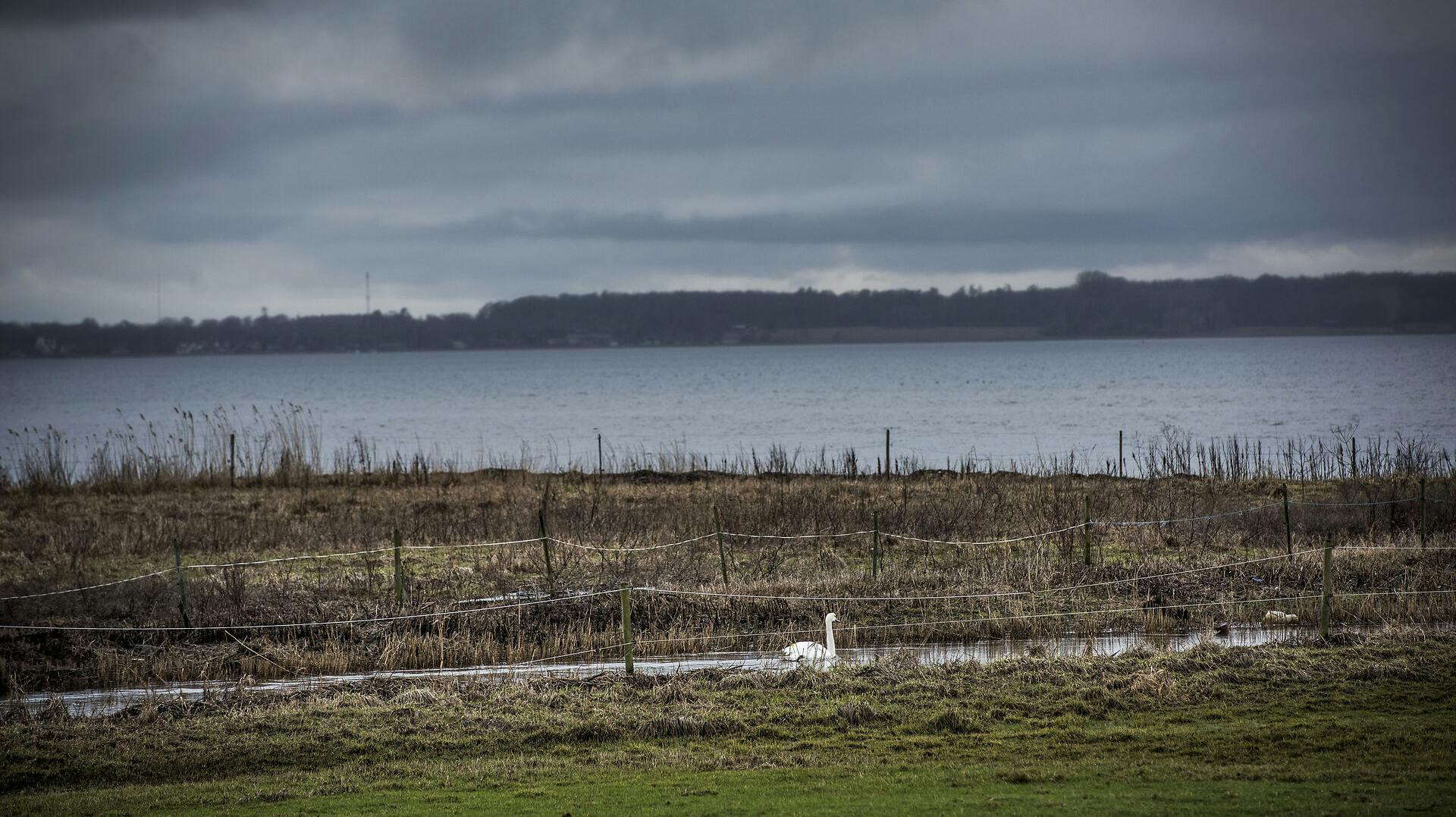 En person er tirsdag formiddag fundet livløs i vandet ved Bramslev Bakker i Hobro. OBS: Arkivfoto.